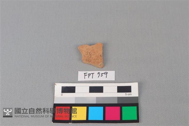陶片藏品圖，第2張