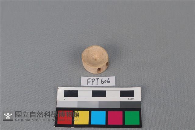 鯊魚骨藏品圖，第2張