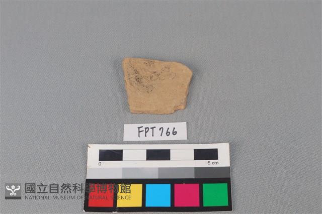 陶片藏品圖，第2張