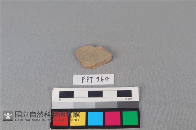 陶片藏品圖，第2張