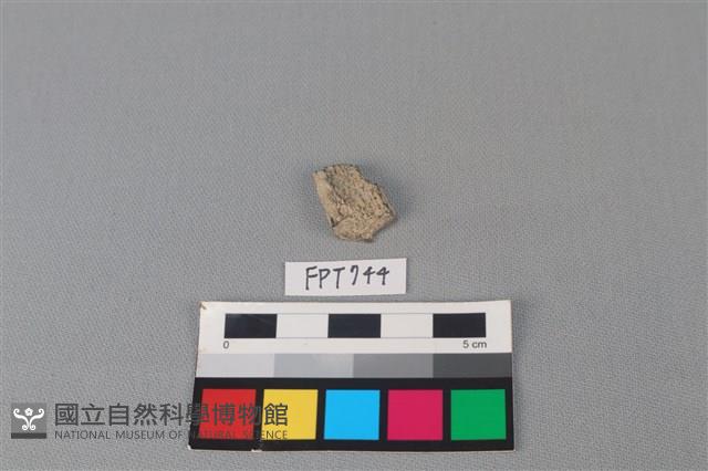 鹿骨藏品圖，第2張