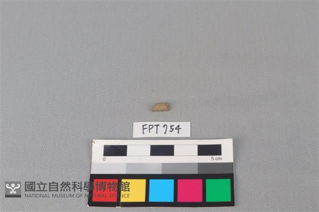 陶環藏品圖，第2張