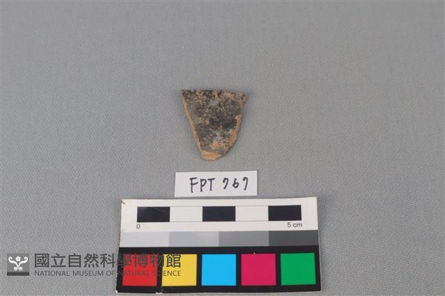 陶片藏品圖，第2張