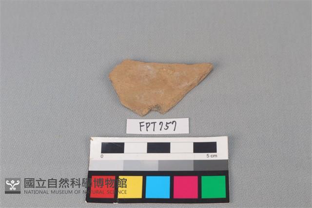 陶片藏品圖，第2張