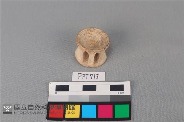 鯊魚骨藏品圖，第2張