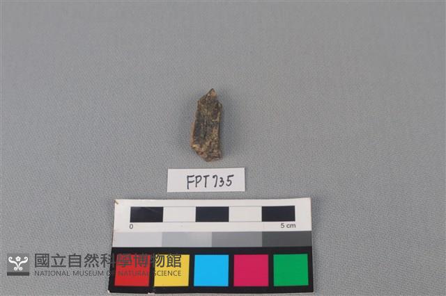 鹿骨藏品圖，第2張