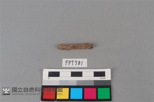 鐵器殘件藏品圖，第2張