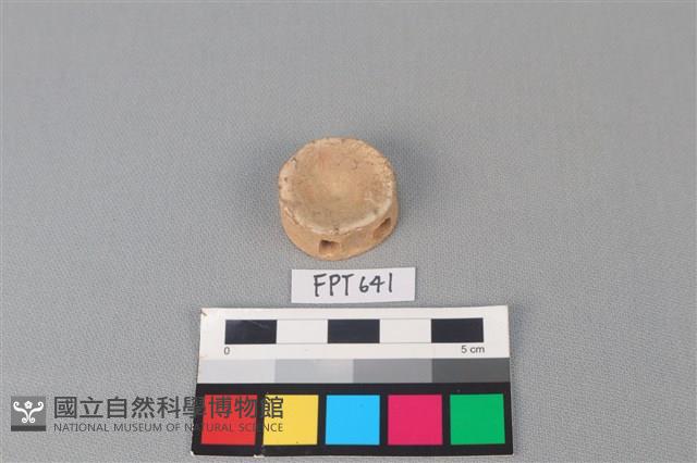 鯊魚骨藏品圖，第2張