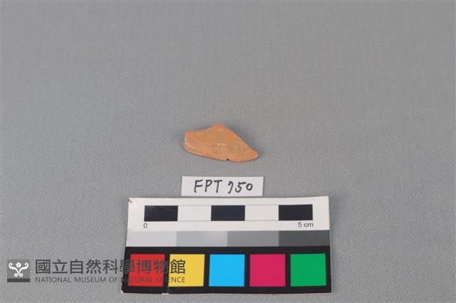 陶片藏品圖，第2張