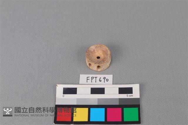 鯊魚骨藏品圖，第2張