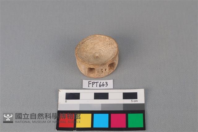 鯊魚骨藏品圖，第2張