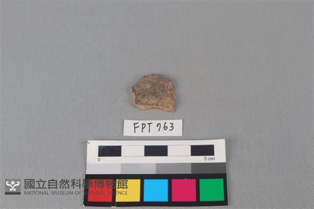 陶片藏品圖，第2張