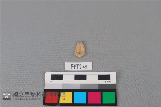 鹿骨藏品圖，第2張