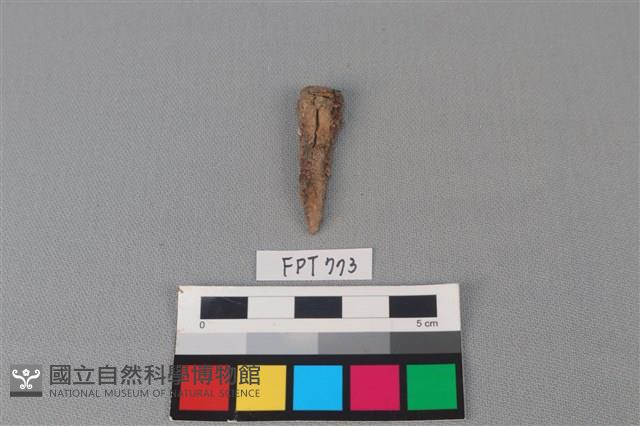 鐵釘藏品圖，第2張