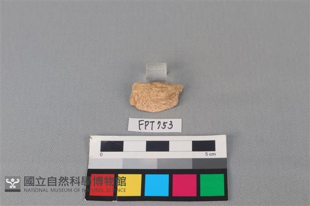 陶罐藏品圖，第2張