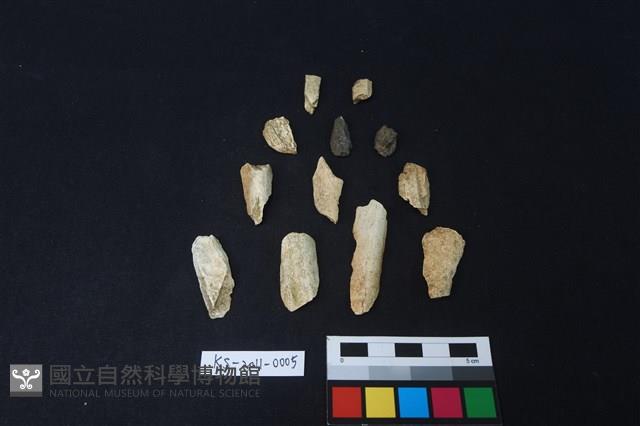 獸骨藏品圖，第2張