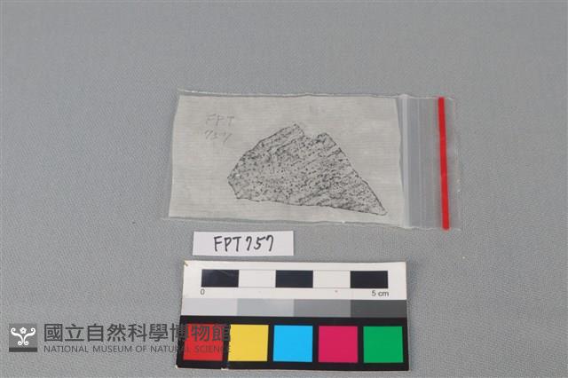 陶片藏品圖，第3張