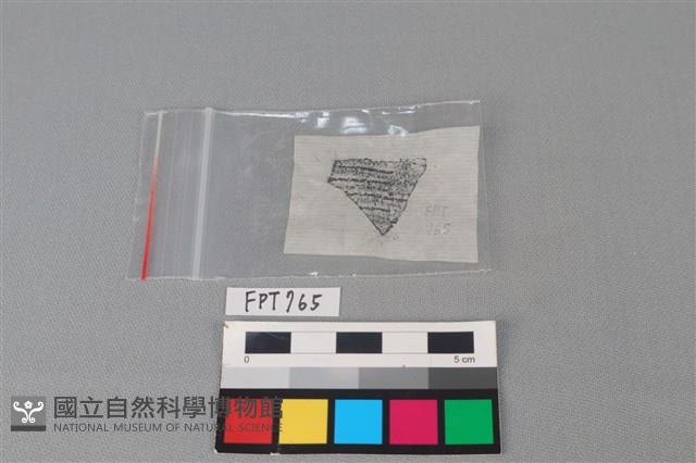 陶片藏品圖，第3張