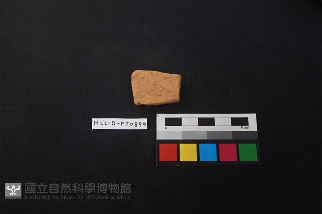 陶片藏品圖，第1張