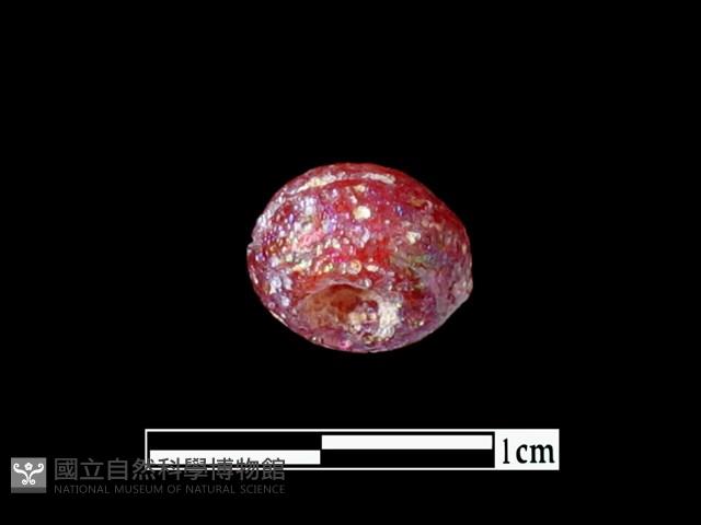 玻璃珠藏品圖，第1張