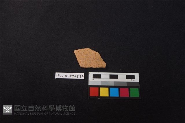陶片藏品圖，第1張