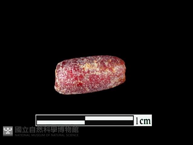 玻璃珠藏品圖，第1張