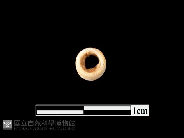 玻璃珠藏品圖，第1張