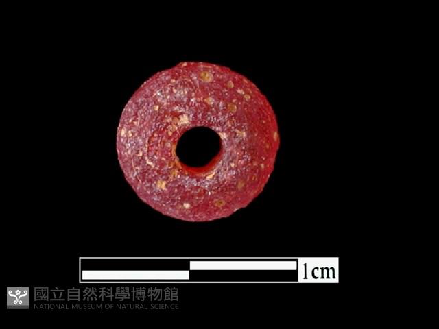 玻璃珠藏品圖，第1張