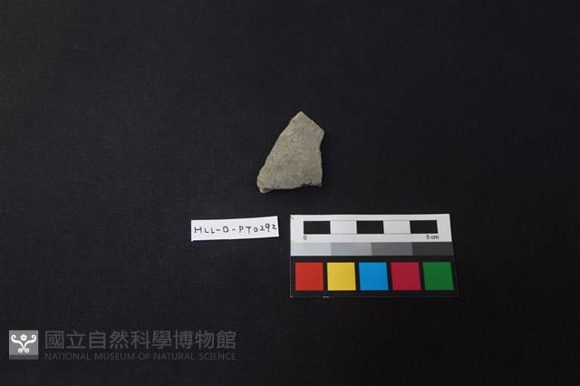 陶片藏品圖，第1張