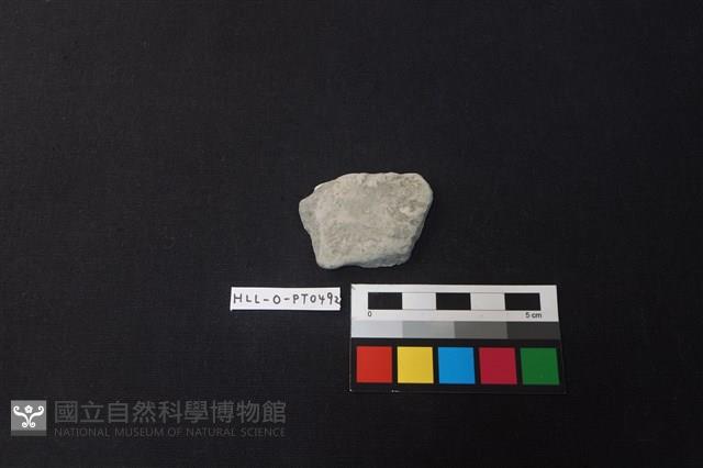 陶片藏品圖，第1張