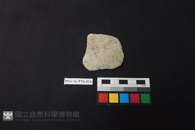 陶片藏品圖，第1張