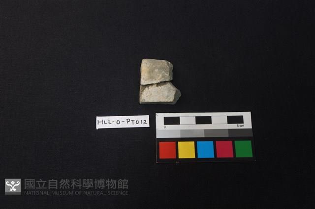 陶片藏品圖，第1張