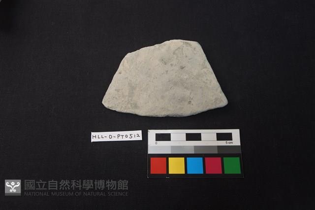 陶片藏品圖，第1張