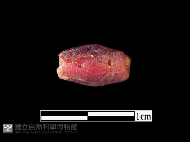 玻璃珠藏品圖，第1張