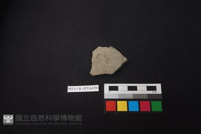 陶片藏品圖，第1張