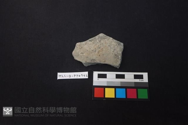 陶片藏品圖，第1張