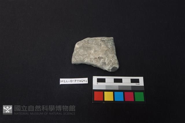 陶片藏品圖，第1張