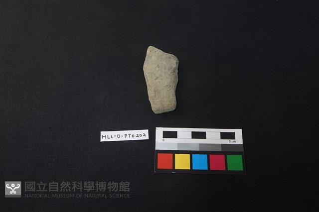 陶片藏品圖，第1張