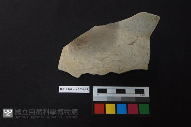 陶片藏品圖，第1張