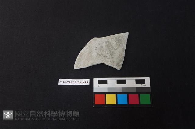 陶片藏品圖，第1張