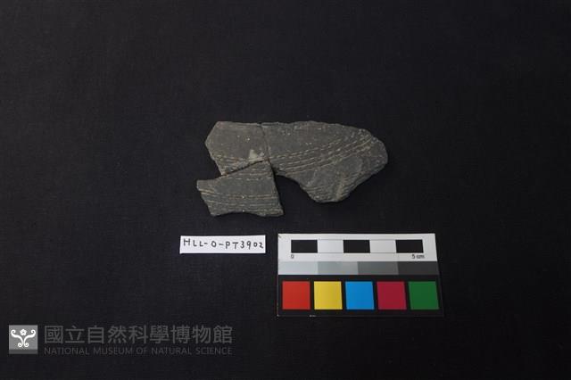 陶片藏品圖，第1張