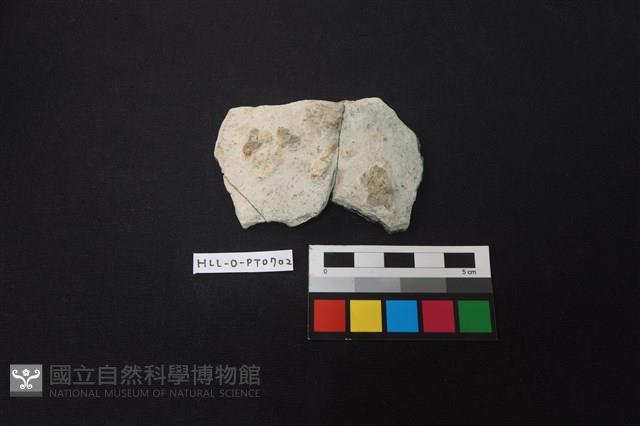 陶缽藏品圖，第1張