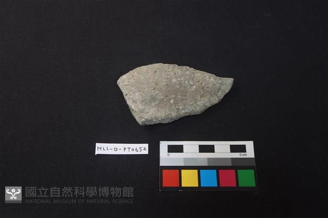 陶片藏品圖，第1張