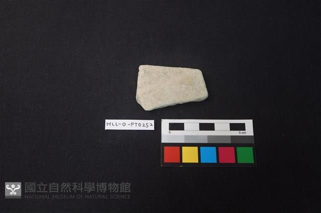 陶片藏品圖，第1張