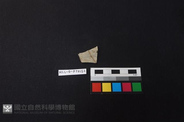 陶片藏品圖，第1張