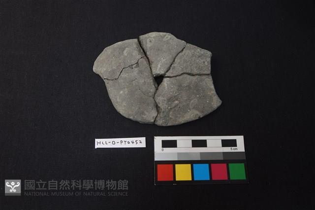 陶片藏品圖，第1張