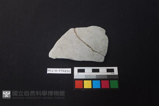 陶片藏品圖，第1張