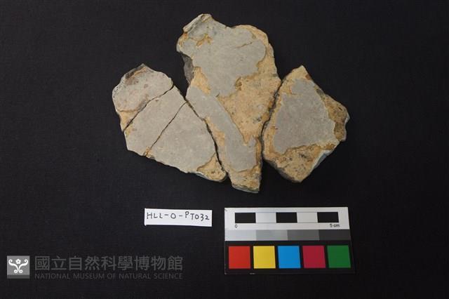 陶片藏品圖，第1張