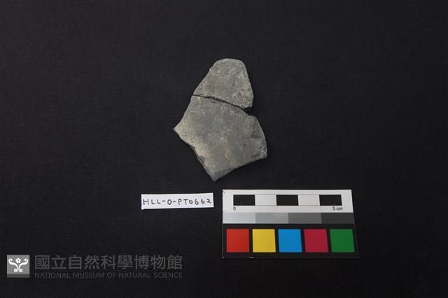 陶片藏品圖，第1張