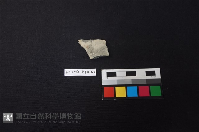 陶片藏品圖，第1張
